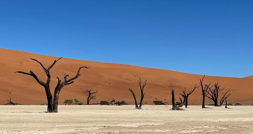 Rote Dünen der Namib-Wüste