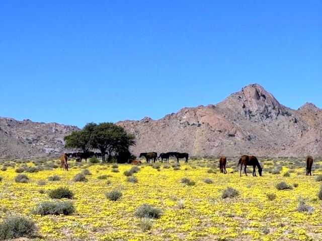 Impressionen aus Namibia