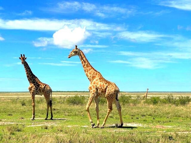 Impressionen aus Namibia