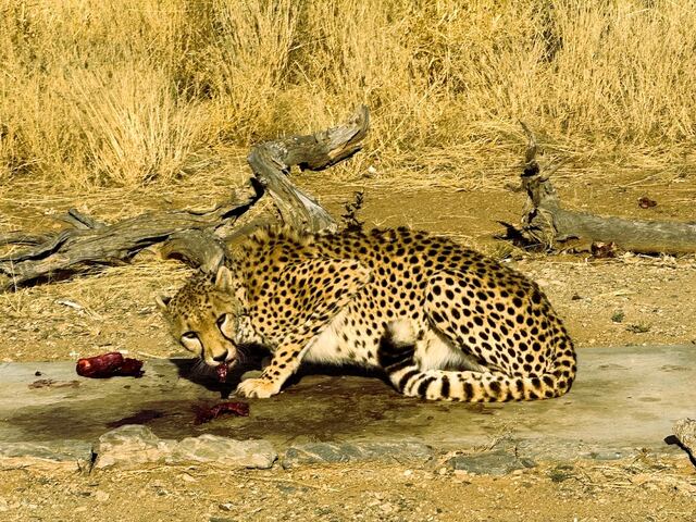Impressionen aus Namibia