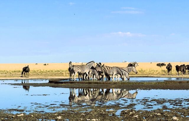 Impressionen aus Namibia