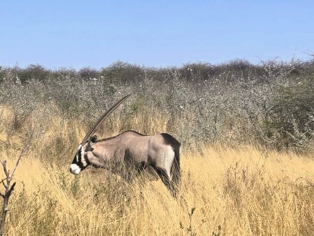 Impressionen aus Namibia