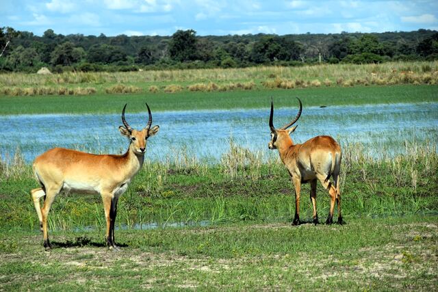 Impressionen aus Namibia